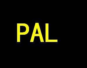 PAL（联邦德国研发的彩色电视广播制式）