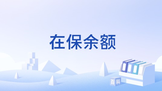 在保余额
