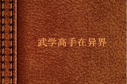 武学高手在异界