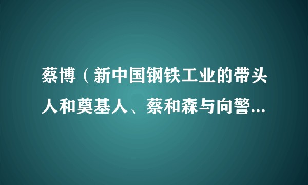 蔡博（新中国钢铁工业的带头人和奠基人、蔡和森与向警予之子）