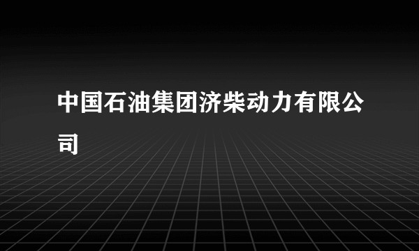 中国石油集团济柴动力有限公司