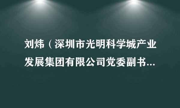刘炜(深圳市光明科学城产业发展集团有限公司党委副书记、董事)