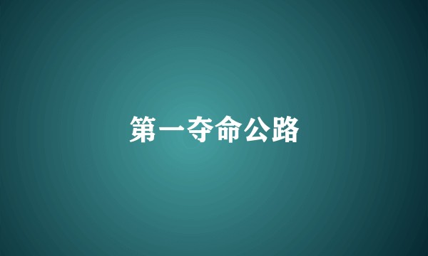 第一夺命公路