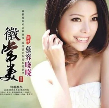 不是（慕容晓晓演唱歌曲）