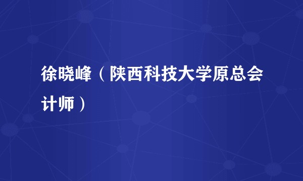 徐晓峰（陕西科技大学原总会计师）