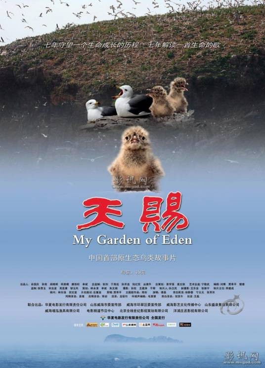 天赐（2011年孙宪执导中国纪录片）