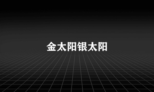 金太阳银太阳