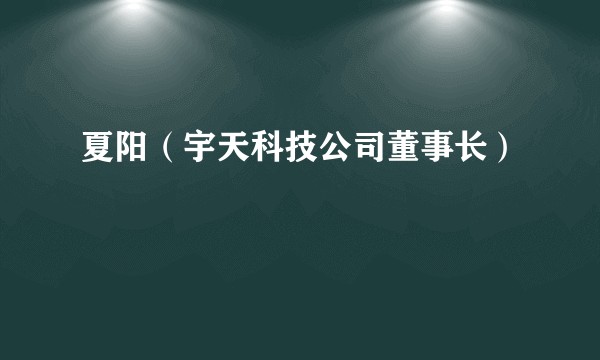 夏阳（宇天科技公司董事长）