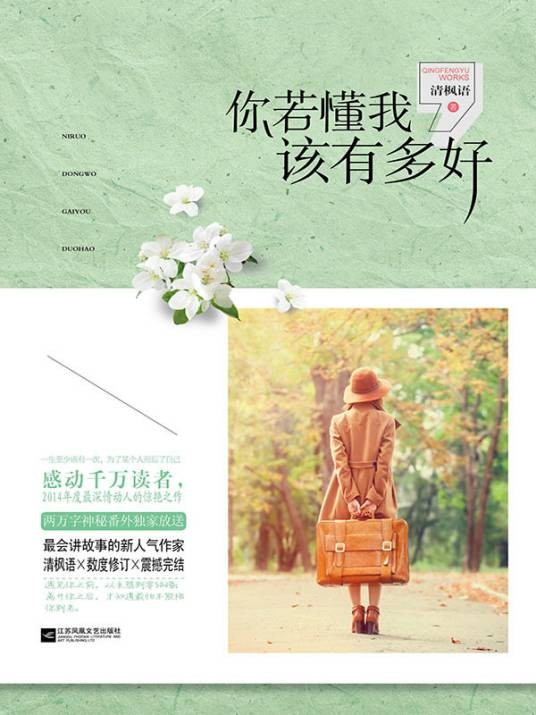 你若懂我，该有多好（2014年江苏凤凰文艺出版社出版的图书）