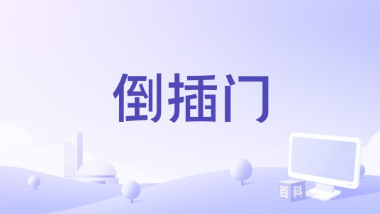 倒插门(电影)