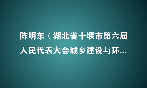 陈明东（湖北省十堰市第六届人民代表大会城乡建设与环境资源保护委员会原主任委员）