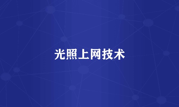光照上网技术