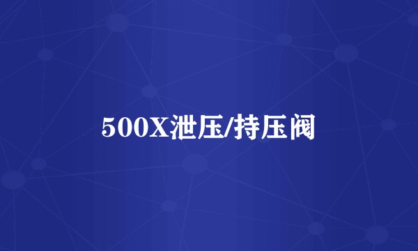 500X泄压/持压阀
