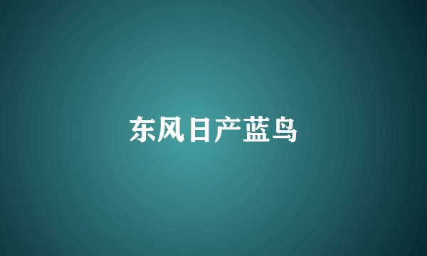 东风日产蓝鸟