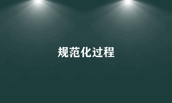 规范化过程