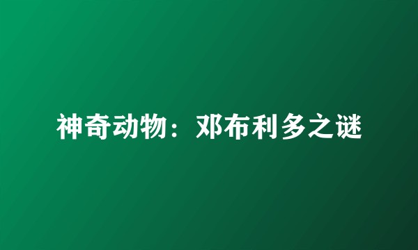 神奇动物：邓布利多之谜