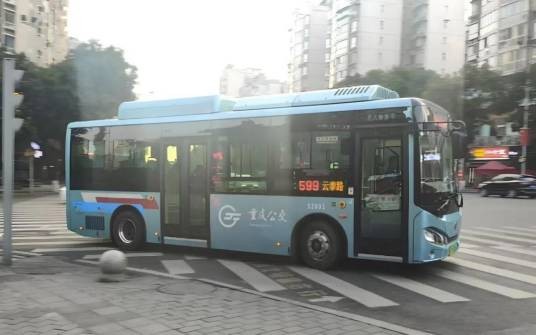 重庆公交599路