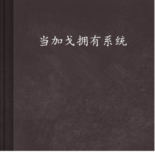 当加戈拥有系统