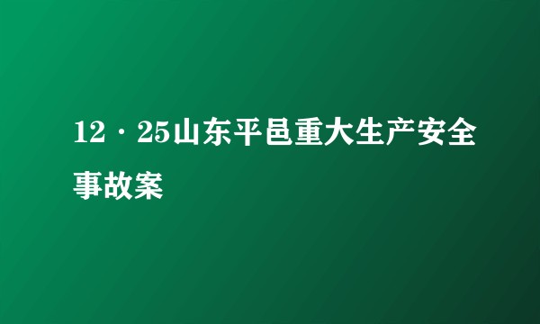 12·25山东平邑重大生产安全事故案