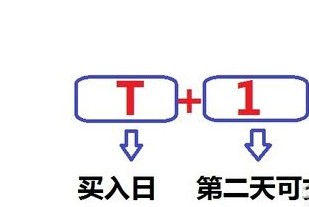 T+1