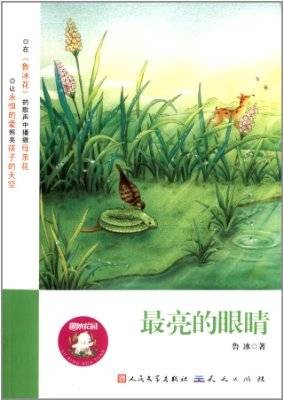 最亮的眼睛