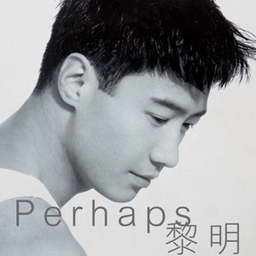Perhaps（黎明个人专辑）