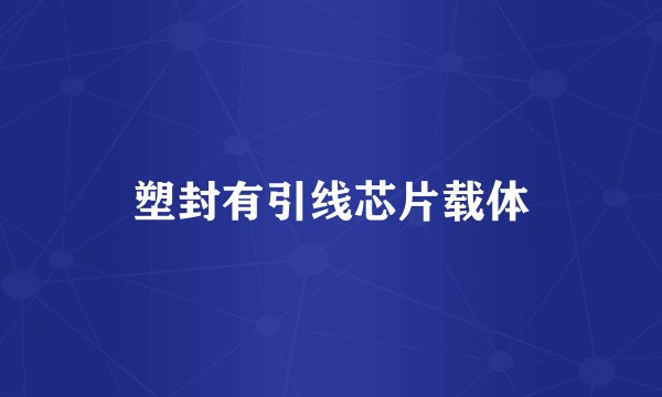 塑封有引线芯片载体