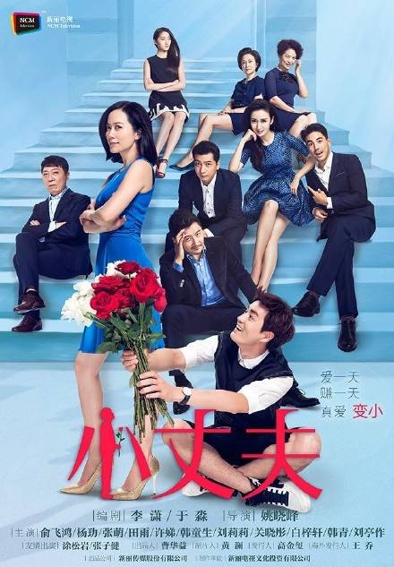 小丈夫（2016年俞飞鸿、杨玏主演的当代都市情感话题剧）
