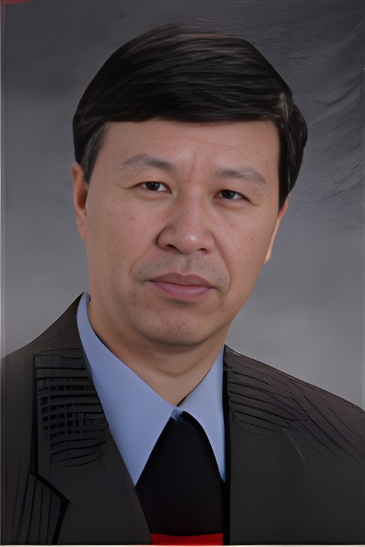 汪宁（华中科技大学教授）