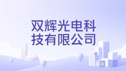 双辉光电科技有限公司