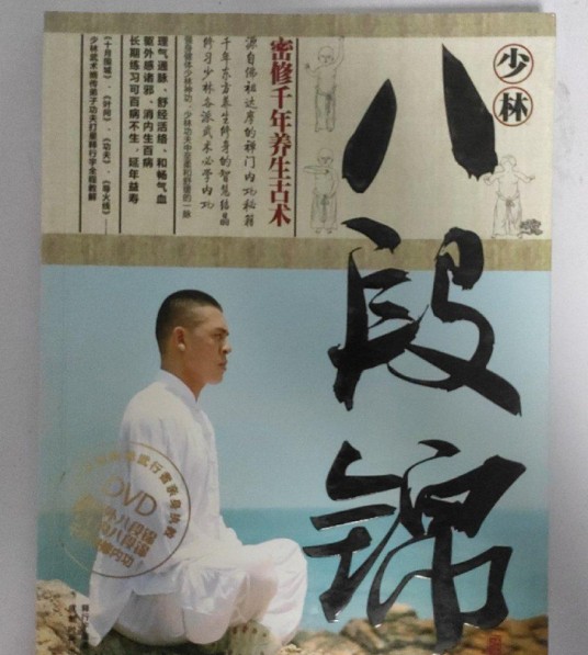 少林八段锦（2008年成都时代出版社出版的图书）