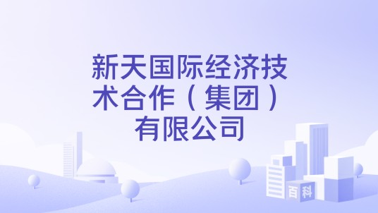 新天国际经济技术合作(集团)有限公司