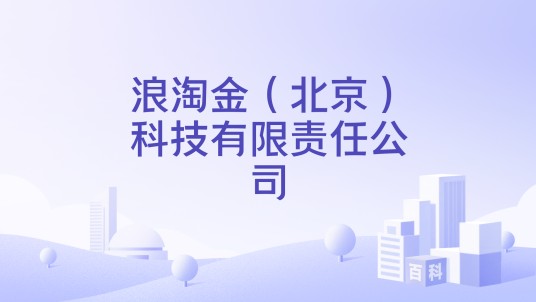 浪淘金（北京）科技有限责任公司
