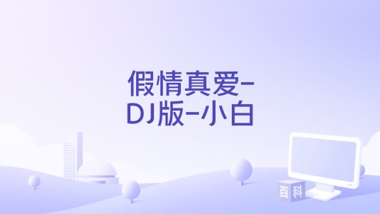 假情真爱-DJ版-小白