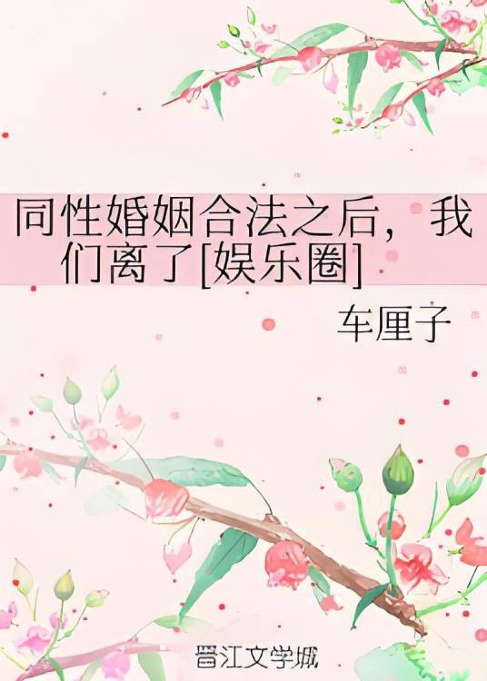 同性婚姻合法之后，我们离了[娱乐圈]