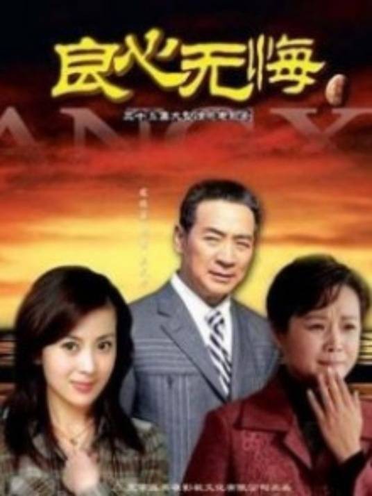 良心（陈晓雷执导电视剧）