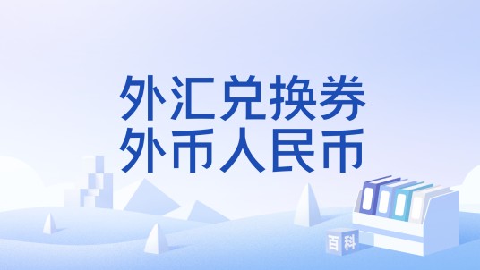外汇兑换券外币人民币