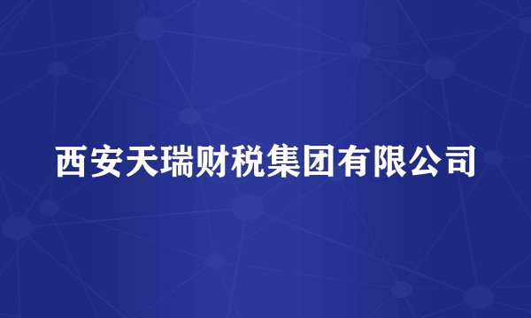 西安天瑞财税集团有限公司