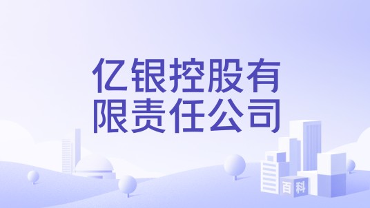 亿银控股有限责任公司
