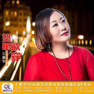 望眼欲穿（王爱华演唱歌曲）