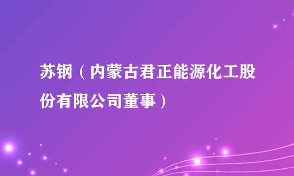 苏钢（内蒙古君正能源化工股份有限公司董事）