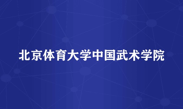 北京体育大学中国武术学院