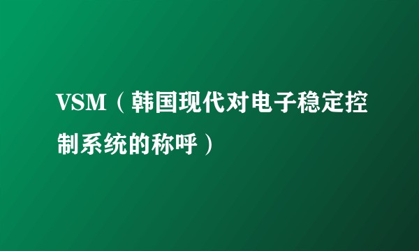 VSM（韩国现代对电子稳定控制系统的称呼）