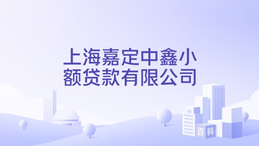 上海嘉定中鑫小额贷款有限公司
