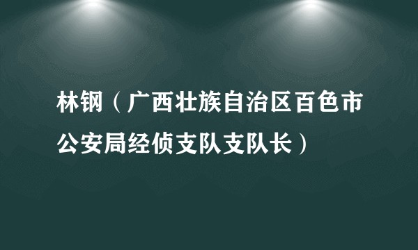 林钢（广西壮族自治区百色市公安局经侦支队支队长）