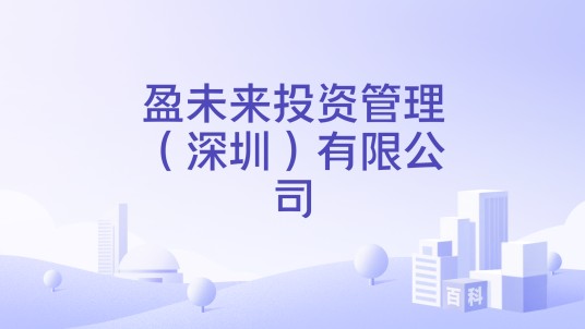 盈未来投资管理（深圳）有限公司