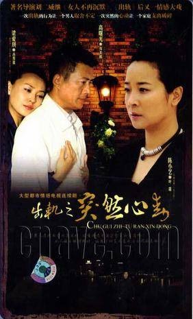 突然心动（2008年刘二威执导的电视剧）