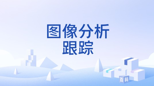 图像分析跟踪