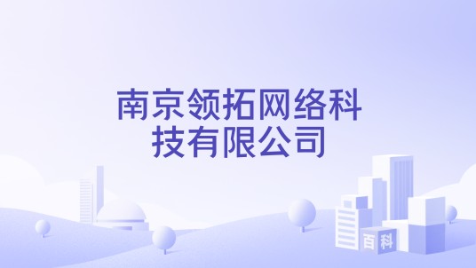 南京领拓网络科技有限公司