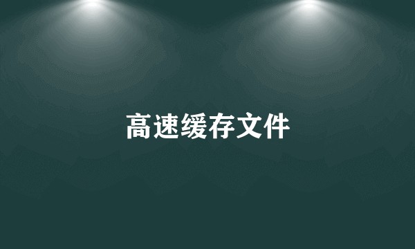 高速缓存文件